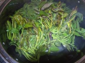 锅里水烧开，放香椿焯水，叶子变绿就可以了。