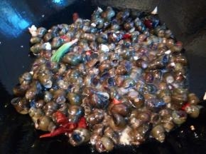 倒入螺蛳转大火翻炒，淋少许料酒去腥，也可以加啤酒，都是一样的，