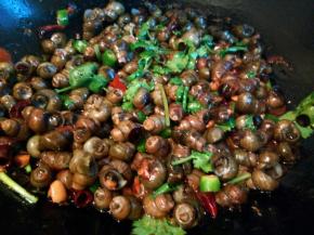 待汤汁收的差不多时，加点鸡粉，香菜段，翻炒几下就可以出锅了，