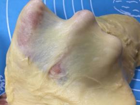 第二次和面工作结束，面团已经达到扩展阶段，可以拉出透明手膜