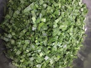 韭菜切碎