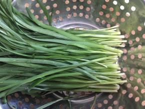 韭菜摘净洗好备用