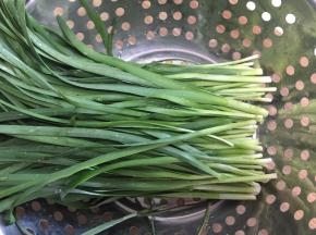韭菜摘净洗好备用