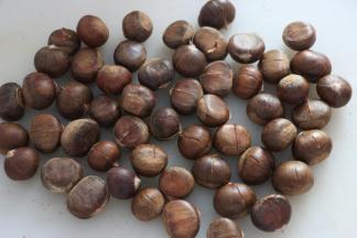 新鲜板栗，用小刀划个小口。