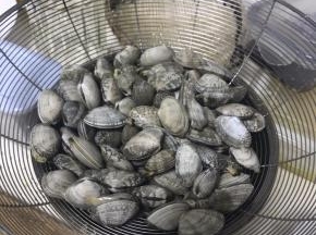 蛤蜊提前至少三个小时吐沙，适当放点盐可以帮忙吐沙。然后清洗，待用