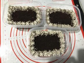 四周挤咸奶油，中间撒奥利奥饼干碎，奥利奥咸奶油盒子就做好了。好盒盖，放冰箱冷藏2小时口味更佳。