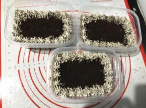 四周挤咸奶油，中间撒奥利奥饼干碎，奥利奥咸奶油盒子就做好了。好盒盖，放冰箱冷藏2小时口味更佳。