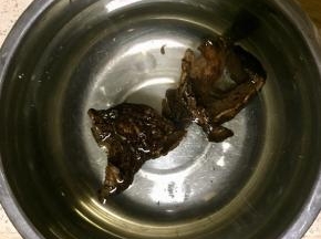 熊掌菌提前洗净用温水泡发