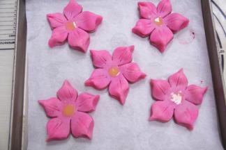 中间表面刷上点蛋黄液