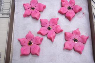 中间撒上黑芝麻