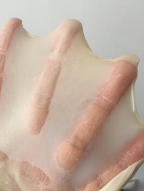 揉好的面团可以拉开一张手套膜