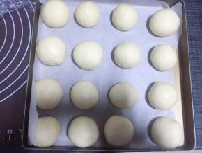 把分好的面团一个个滚圆码在烤盘上