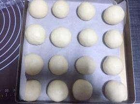 把分好的面团一个个滚圆码在烤盘上