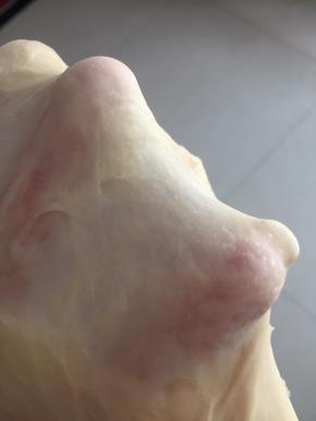 面团在揉到扩展就是能拉开粗膜的时候加入黄油继续揉