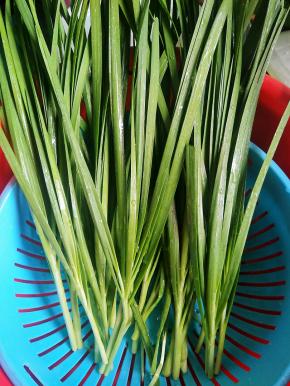 适量的韭菜洗干净放着吹干水分！然后切碎