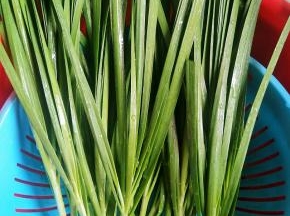 适量的韭菜洗干净放着吹干水分！然后切碎