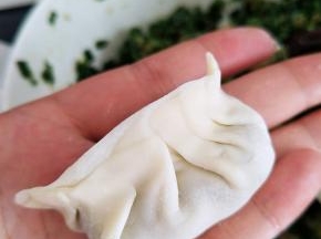 饺子成品图，我就只会这种，。包的不美腻，请将就看