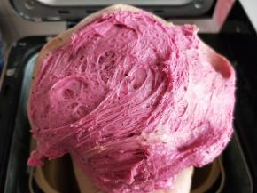 冷藏好的中种面团内部组织。