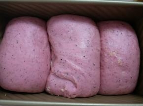 发酵至八分满，盖上盖子，入预热好的烤箱175度中下层烤45分钟。