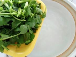 锅里水开放入西洋菜