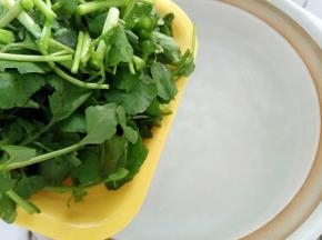 锅里水开放入西洋菜