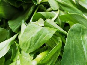 蔬菜洗干净备用