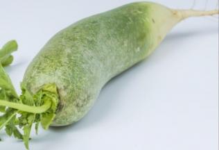 新鲜的青萝卜一到两只。