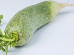 新鲜的青萝卜一到两只。