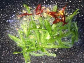 放入青椒红干辣椒一起炒至飘香