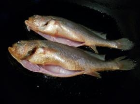 处理好的鱼，用厨房纸巾吸一下黄鱼身上多余的水分，煎的时候不会粘鱼皮，油也不会崩，锅里放适量的油，油温四成热，下黄鱼煎，