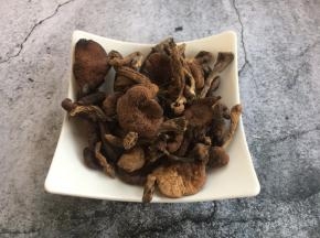 榛蘑是白蘑科食用真菌。野生榛蘑是中国东北特有的山珍之一，是极少数不能人工培育的食用菌之一。