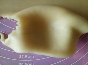 将面片盖在模具上