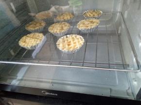 放入预热好的烤箱中下层，上下火190度15分钟后转170度25分钟