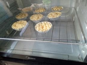 放入预热好的烤箱中下层，上下火190度15分钟后转170度25分钟