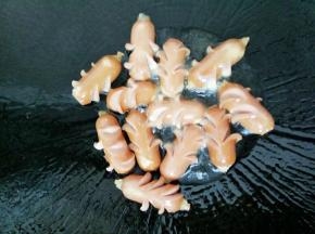 锅里热油放入火腿煎熟