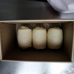 松弛好的面团在擀长然后卷起，放入吐司盒，收口向下。放入发酵箱38度45分钟，没有发酵箱的宝宝放入烤箱同时放一杯开水