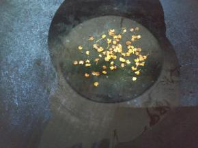 锅里烧热油，放花椒慢慢小火炸出香味。