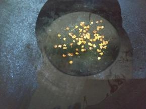 锅里烧热油，放花椒慢慢小火炸出香味。