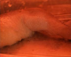 取半包(鸡腿部位，哈哈)送烤箱180度20分钟。