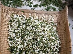 槐花捡去枯枝老叶，洗净。