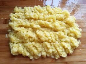 再把菠萝肉用刀切成小碎粒