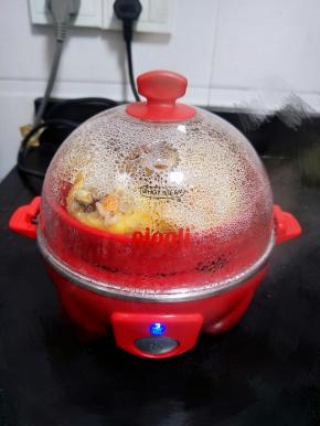 插插头。打开开关，开蒸，蒸30-40分钟左右。中途蜂鸣器响没水记得加水哦