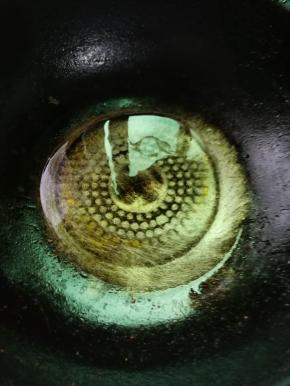 锅烧热，倒油，油热后加入葱段，蒜翻炒几下