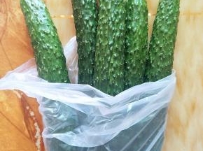 青瓜几条