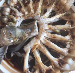 另外起锅烧热，倒入适量植物油烧热，烧热后把油在淋到鱼上面