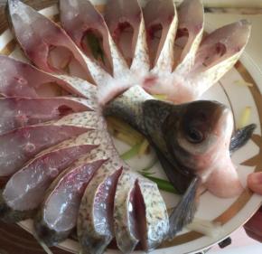 把鱼摆在葱姜丝上面，鱼头立起来放好