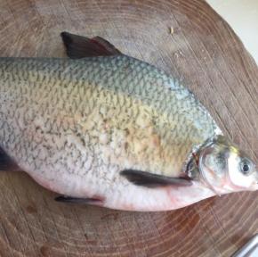 买一条武昌鱼，让卖家给杀好，拿回来自己清洗干净