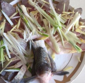 在鱼身上撒好姜丝，在撒好葱丝和适量盐