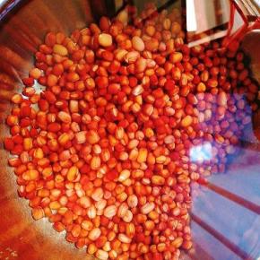 红豆洗净，将红豆提前一夜用凉水浸泡一夜，现在天要热的话可以放进冰箱冷藏。