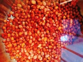 红豆洗净，将红豆提前一夜用凉水浸泡一夜，现在天要热的话可以放进冰箱冷藏。